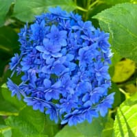 自分を大切にするということ