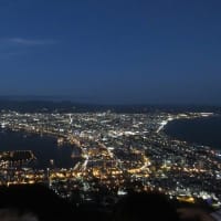 赤レンガ倉庫、函館山からの夜景