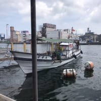 海鮮食堂　@ 高松港