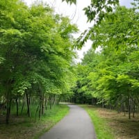 日曜日の黄昏時は