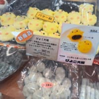 【弾丸】日帰り北海道