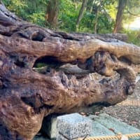 周波数を変えるセッション募集中(6月キャンペーン)