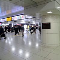 「国会前庭から東京駅まで歴史探訪」資料