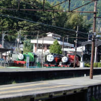 奥大井湖上駅