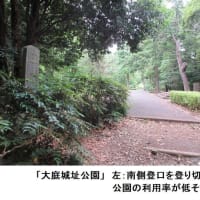 歴史散歩：藤沢市北西部城址・富士塚等（2024/6/13) 