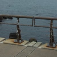 馬堀海岸