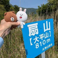 さつき晴れ　扇山へ（610m）山頂に石碑発見