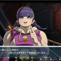 いや、100個くらいあるんだ。あったんだ（白目）