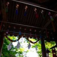 唐沢山「風鈴まつり」涼し気な音色を奏でる風鈴を記録してきました。