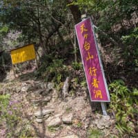 天下台山　2025.4.19　「22」