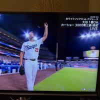 C.カーショー投手３０００奪三振達成おめでとう㊗️