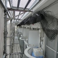 鹿児島市・鴨池のマンションで鳩対策の防鳥ネットを設置いたしました。