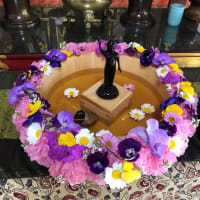 花祭り