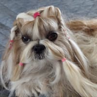 凛ちゃんのお目目が…