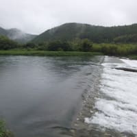 本日の海部川