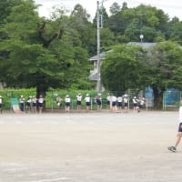 6/20の様子