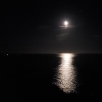 尾ヶ崎ウィング 白浜の月
