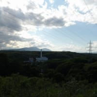 2025年6月8日(日)　苫小牧「近所の自然散歩」植物調査