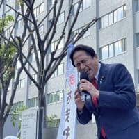 薬害はなぜ繰り返されるのか　厚労行政と情報公開の課題