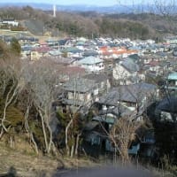 春めいてます