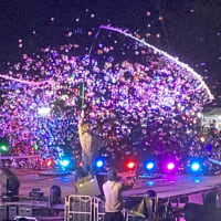 teambub.BUBBLE TOUR2024 in 東京ドイツ村