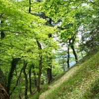 稲村ヶ岳（奈良）