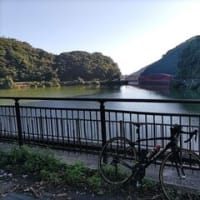 朝練後の自転車整備