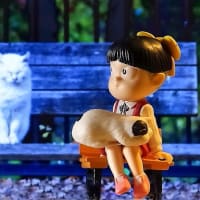 2687/~若葉の季節,何気に空を・・（Evening）※AR