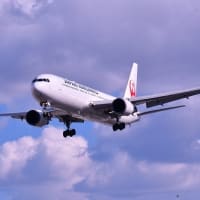 千里川土手 から真上を飛ぶ飛行機を撮りました