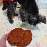 暑さがじわじわ来るもん！