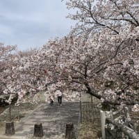 雲仙普賢岳と小浜温泉の旅　その１