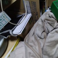 夕方から夜になるのは