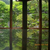 日帰り旅行