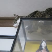 久々に高み