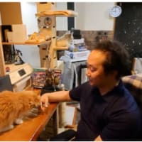 阿蘇の夏ツーリングと、ご質問にお答えしてと、昨日のyoutubeと明日のワークショップと