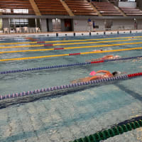 Japan  Swim Camp Day6
