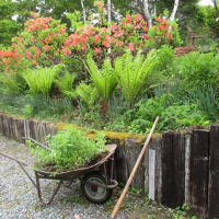 Various garden works