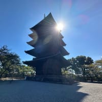 東寺　