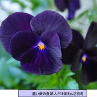 まだまだ寒いけど