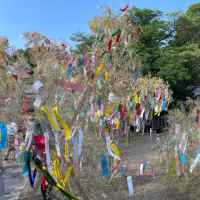 何十年ぶりかの機物神社の七夕祭り