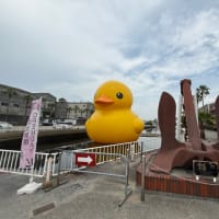 高さ9.5メートルのアヒルのアート作品「ラバー・ダック」