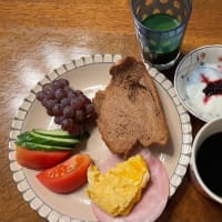 7月3日（木）ステイホームの1日