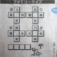 梅雨入り前の安らぎ