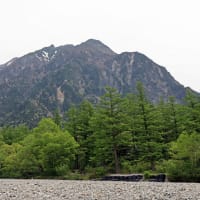上高地　梓川右岸散策　３