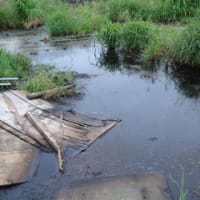 畜産汚水の不適切な処理が環境と健康を阻害