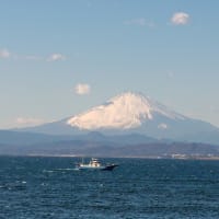 マラソン人生最大の試練　東京マラソン出場は・・・？　近況報告　〜シン・ランニングクラブ会長の進撃！　30〜