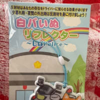 最後の運転免許更新