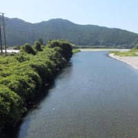 本日の海部川