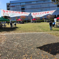 第35回みさとこどもまつりが2024年11月17日（日）、におどり公園で開催されました。