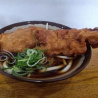 我孫子駅　弥生軒の唐揚げうどん
